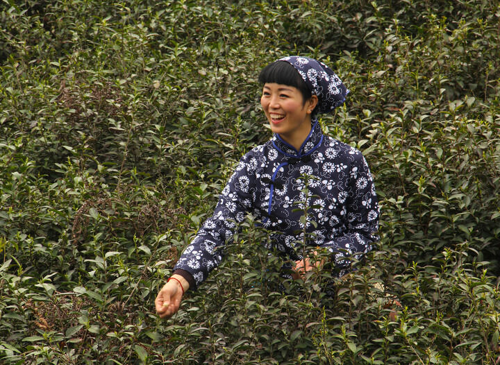 一对一视频聊天网站 蛇蝎美人